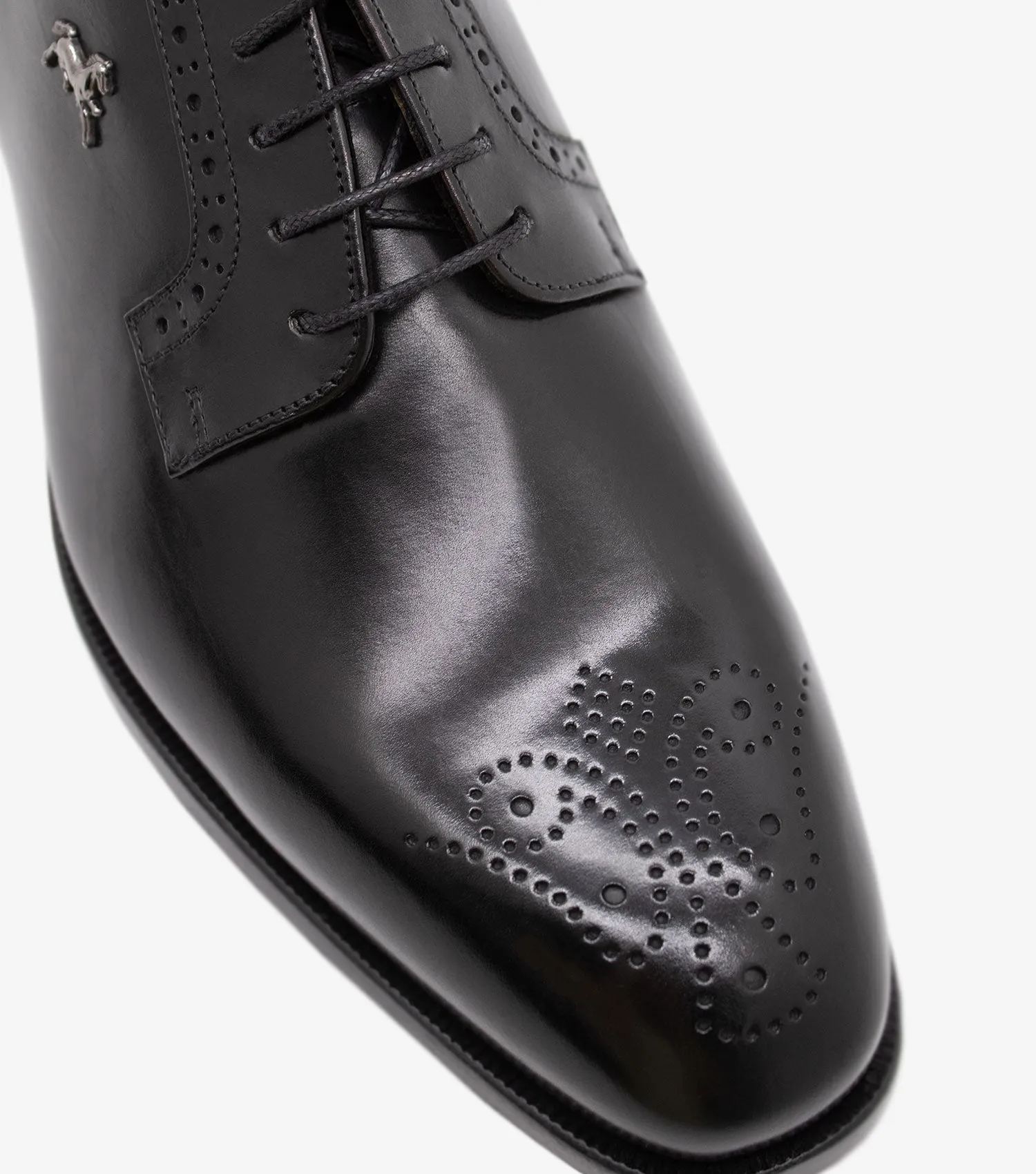 Cavalo Lusitano Leather Derby Brogue Shoes