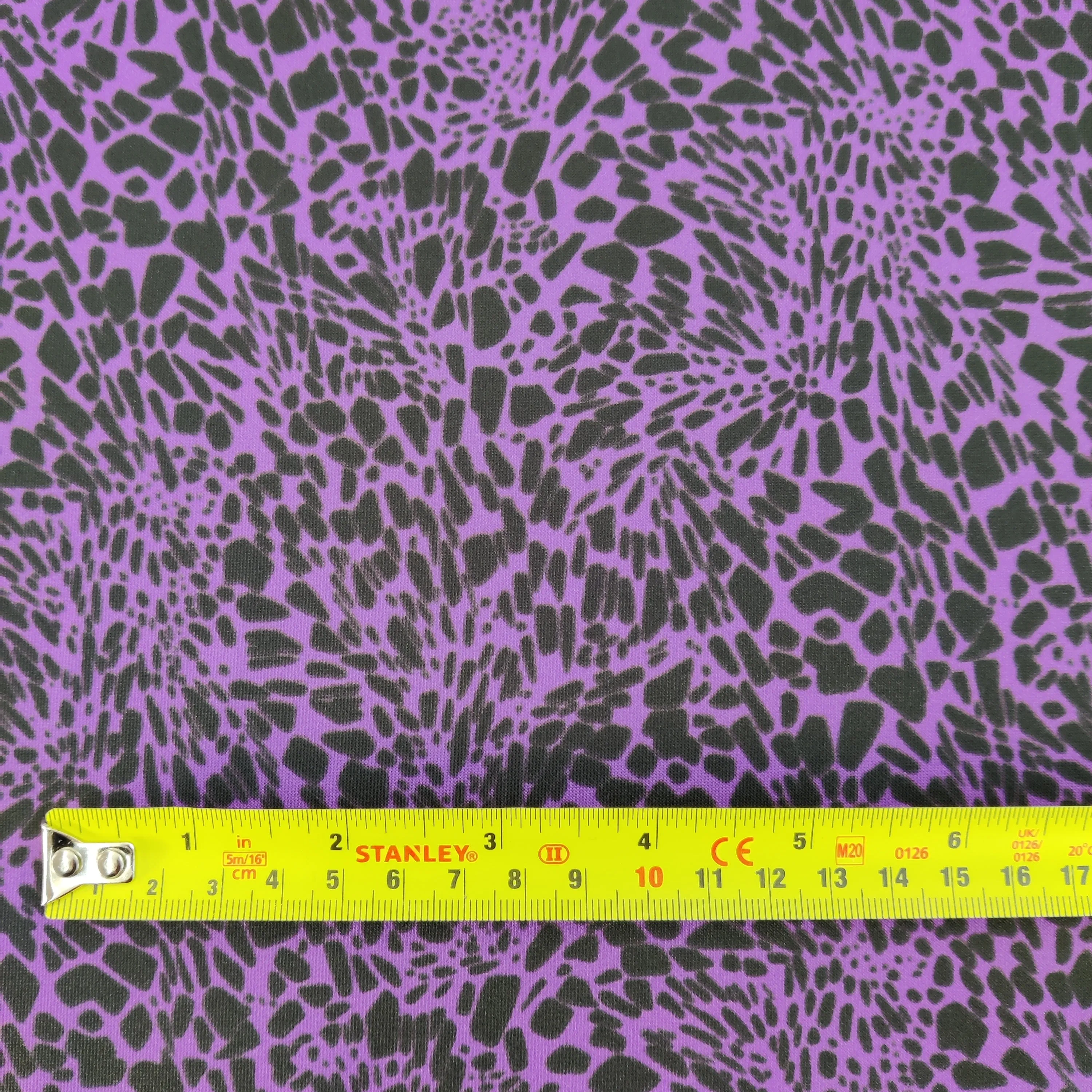 FS845_1 Leopard Animal