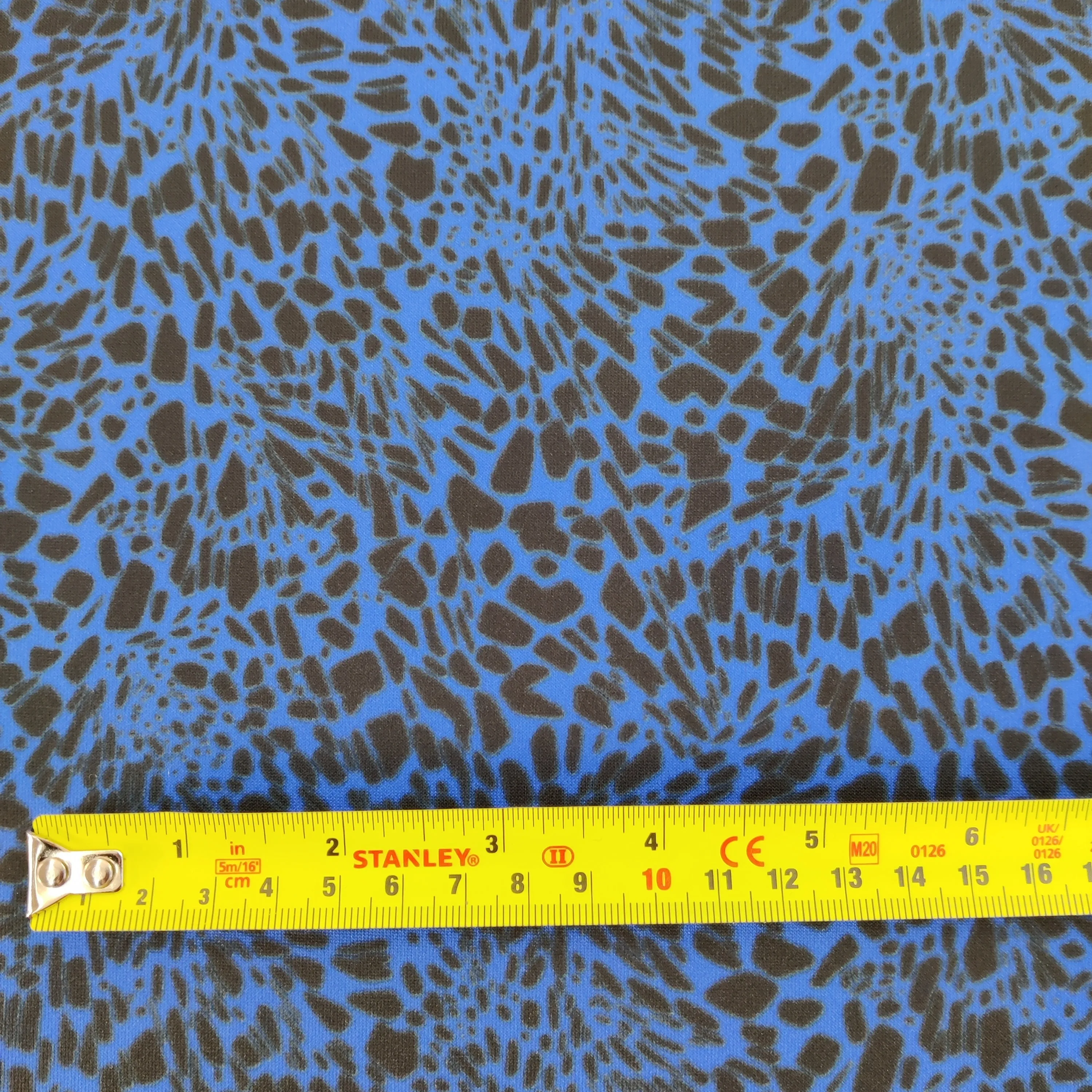 FS845_1 Leopard Animal