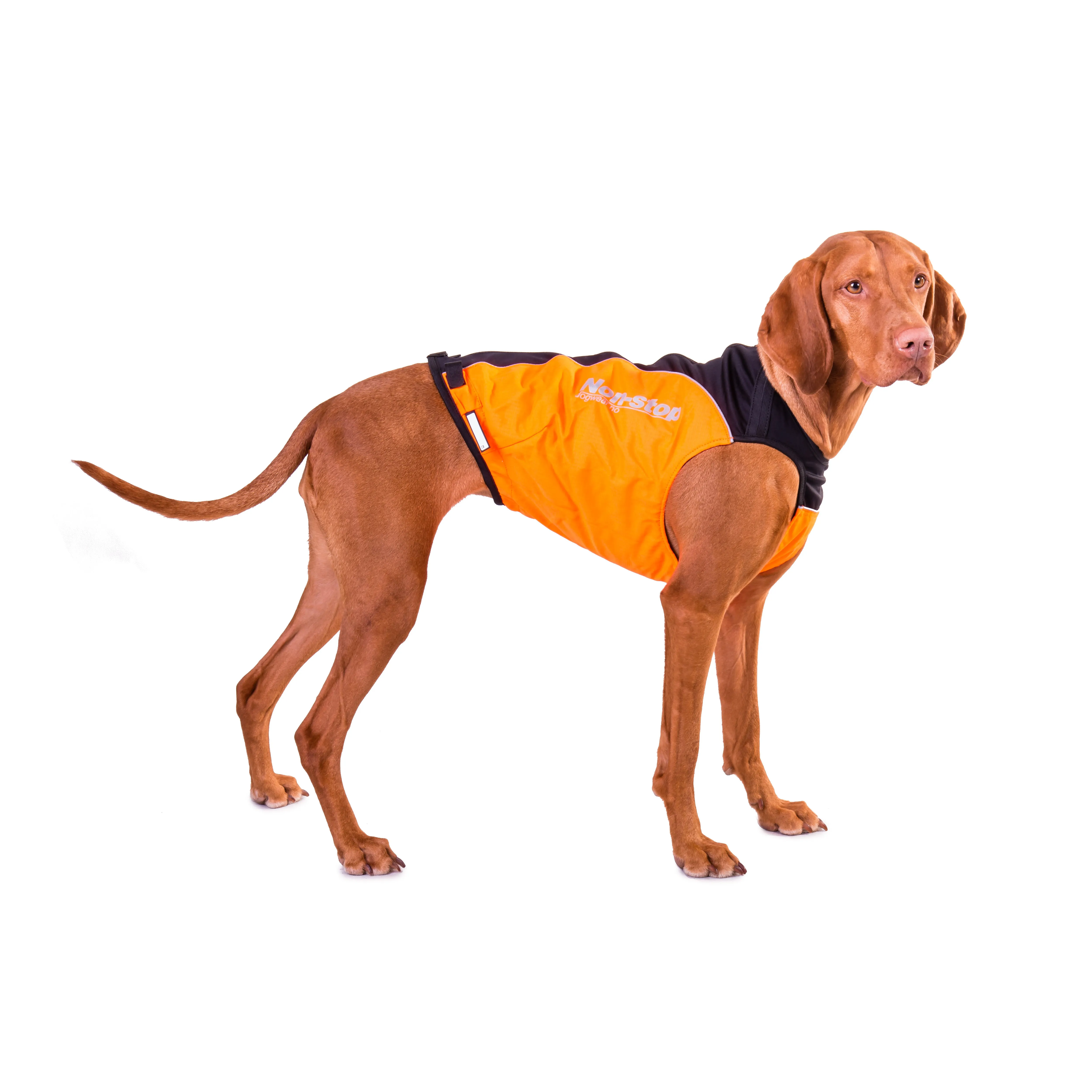 Non-stop Dogwear Hunting Cover Orange | Buy Non-stop Dogwear Hunting Cover Orange here | Outnorth