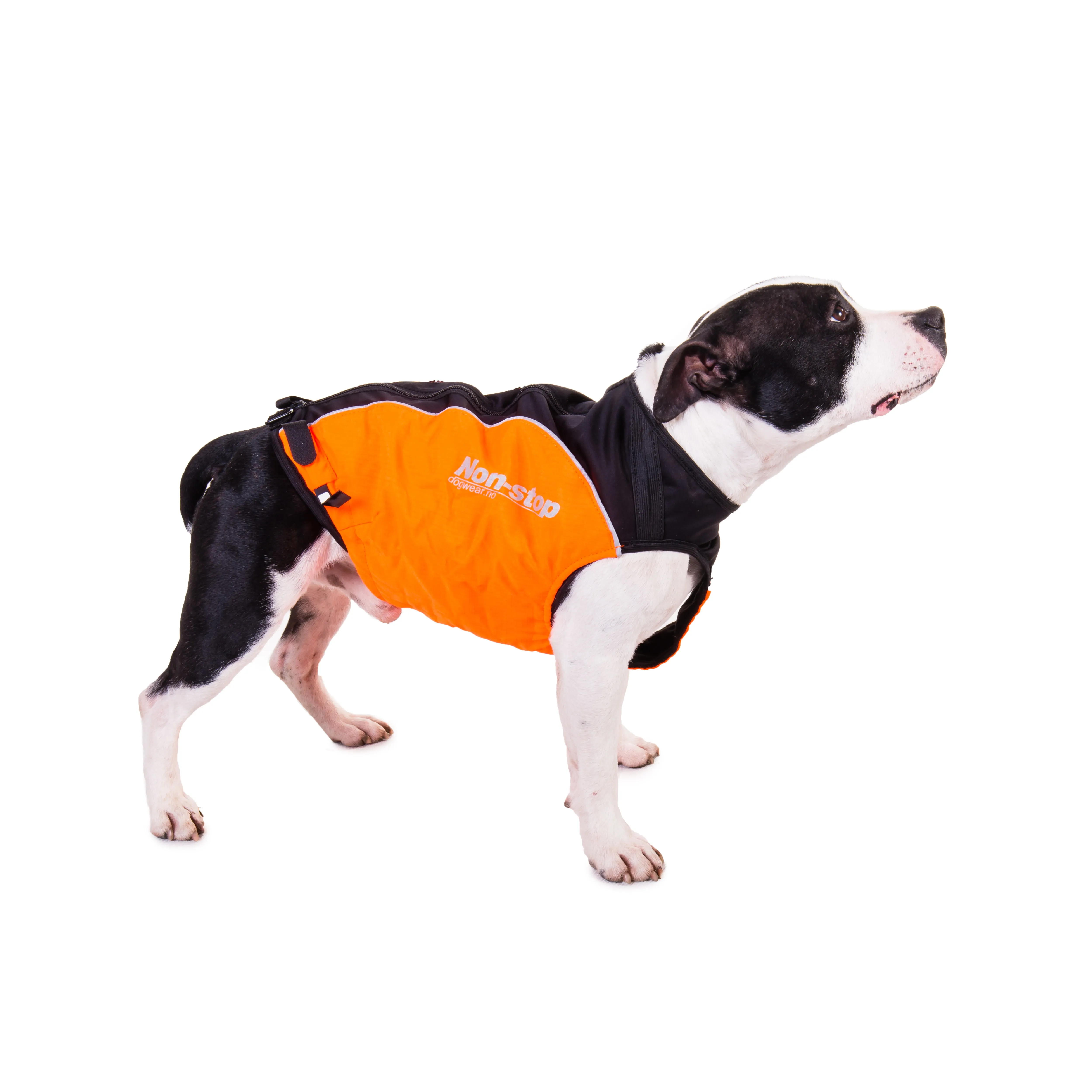 Non-stop Dogwear Hunting Cover Orange | Buy Non-stop Dogwear Hunting Cover Orange here | Outnorth